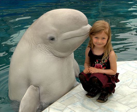 Unusual Friendships Between Human And Animals